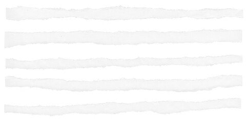 Variety of fine and unevenly torn paper strips arranged neatly on a black background. A versatile visual resource for layout design, modern collages, and handmade effect overlays.