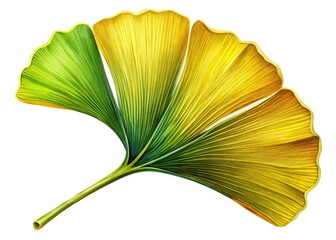 Ginkgo Leaf Illustration - Artistic Candid Photography