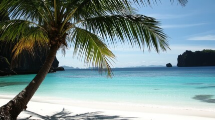 Fototapeta premium Serene Tropical Beach with Palm Tree and Crystal Clear Water
