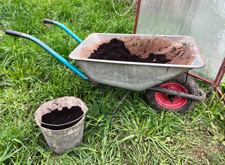 wheelbarrow humus on the grass in the garden. gardening tools in the garden. 