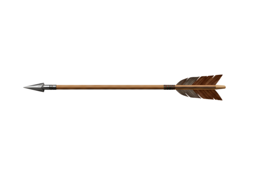Traditional wooden arrow with metal tip
