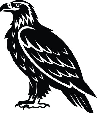 eagle vector illustration, eagle isolated on white, eagle on white background, eagle icon, Bald Eagle illustration vector, eagle logo, eagle design