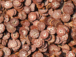 Chinese seasoning, closeup of photo