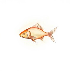 Fototapeta premium A vibrant aquatic creature swims gracefully, with reddish hues and delicate fins against a clean backdrop.