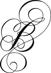 vector illustration of a branch of a plant