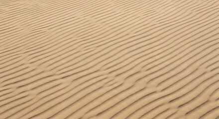 Obraz premium Sand Ripples Texture Pattern in Desert Natural Abstract Background