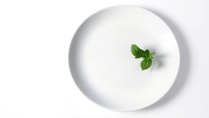 empty white plate isolated
