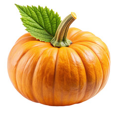 pumpkin isolated on white background