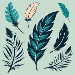 Colorful Feather Collection