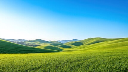Fototapeta premium Serene Green Hills Under a Bright Sky: A Picturesque Landscape