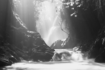 Obraz premium Beautiful morning view indonesia Panorama Landscape paddy fields with beauty color and sky natural light