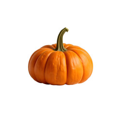 pumpkin with transparent background PNG and JPEG image