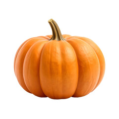 Obraz premium pumpkin with transparent background PNG and JPEG image