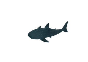 Whale DB 5