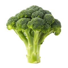 Fresh Broccoli Floret – Green Healthy Produce