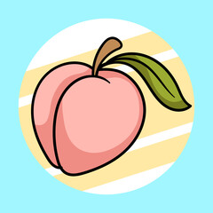 vector illustration of an apple