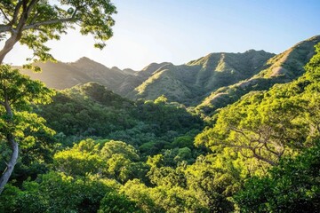 Obraz premium Lush valley, sunlit mountains