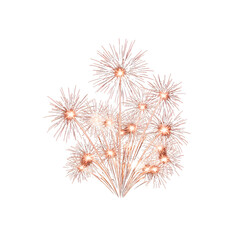 Obraz premium A bunch of fireworks on a - Transparent Background