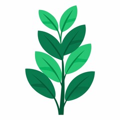 Naklejka premium Simple vector illustration of a green leafy plant on white background