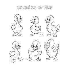 Duck outline coloring page for kids
