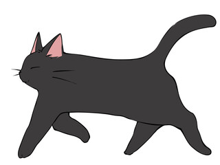 黒ねこ 歩く