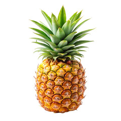 pineapple on white background