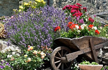 Wooden wheelbarrow overflowing with colorful flowers decorating a garden