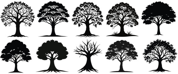 Trees set silhouette. Coniferous forest. Isolated tree on white background. vector illustration