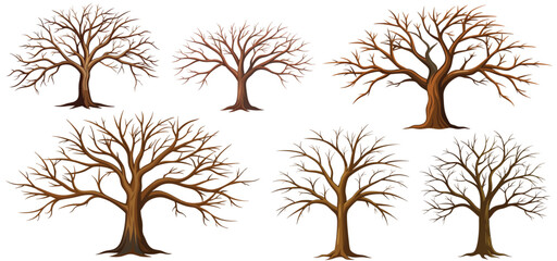 set of big trees without leaves , dead old trees on ,White background ,vector