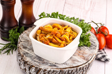 Marinated honey mushroom in the bowl
