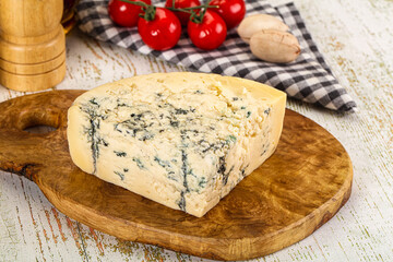 Gourmet blue cheese with mold