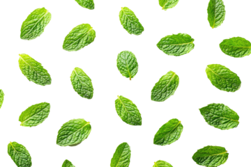 Fresh mint leaves pattern