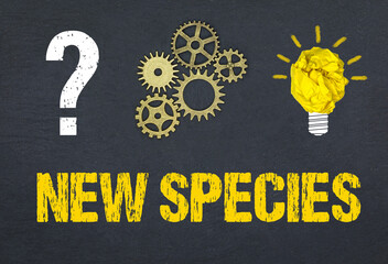 New Species	
