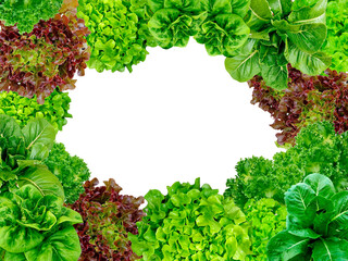 Frame set of lettuce leaves isolated on a white background.