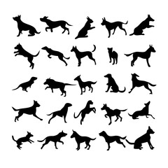 25 Dogs: A Collection of Canine Companions