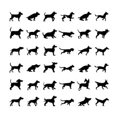 25 Dogs: A Collection of Canine Companions