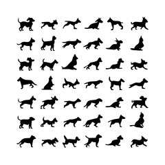 25 Dogs: A Collection of Canine Companions