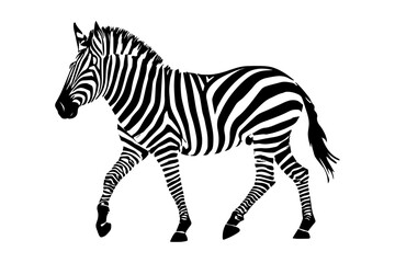 Obraz premium zebra silhouette, vector illustration