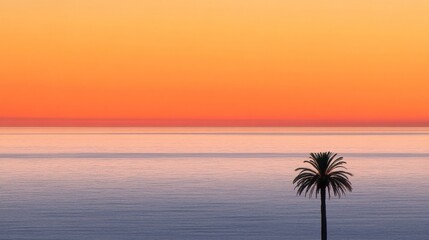 Serene Sunset: A Single Palm Tree Silhouetted Against a Vibrant Orange Sky Over the Tranquil Ocean