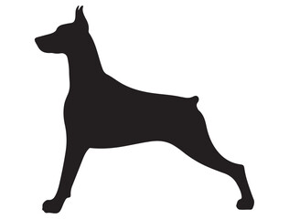 DOBERMAN DOG SILHOUETTE