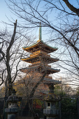 Fototapeta premium Traditional five-story Japanese pagoda stands tall behind leafless trees at sunset, showcasing historical architecture and cultural heritage in a peaceful temple setting in Tokyo, Japan.