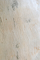 Eucalyptus tree bark texture, Bark of eucalyptus tree, seamless texture, a eucalyptus tree bark texture background image