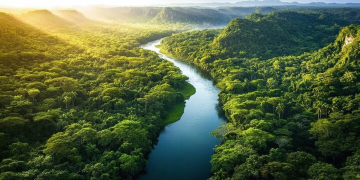 Aerial view of tranquil river meandering through dense forest, flanked by tall trees creating lush canopy, under clear blue sky