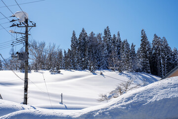 Snow-covered village in a mountain valley during winter with traditional houses, tall pine trees, and electric poles under a clear blue sky. A serene and picturesque scene of rural life in heavy snow.