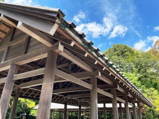 Obraz premium 青空に映える和の木組み建築