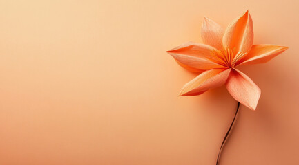 Fototapeta premium A single, delicate peach-colored paper flower with a slender stem, elegantly positioned against a soft, matching background. : Generative AI