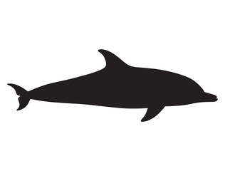 DOLPHIN SILHOUETTE WHITE BACKGROUND