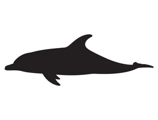 DOLPHIN SILHOUETTE WHITE BACKGROUND