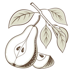 Naklejka premium Pear Adobe Illustrator Artwork