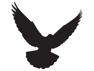 Obraz premium DOVE SILHOUETTE WHITE BACKGROUND